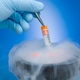 Illustration for article titled New vitrification technique allows women to freeze their eggs for future use